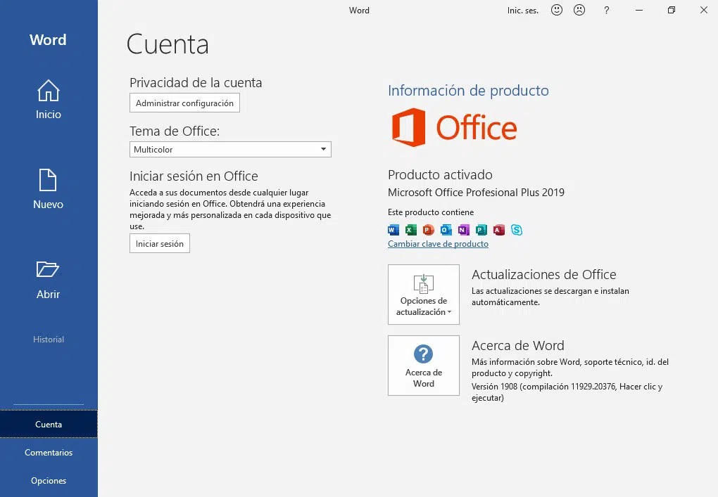 Microsoft Office 2019 activado