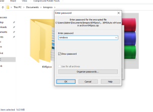 Descomprima el archivo con Activator (Contraseña para el archivo – windows)